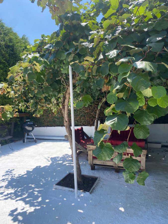 Casita Rustica Διαμέρισμα Cambre Εξωτερικό φωτογραφία
